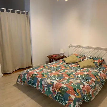 Apartment Cozy